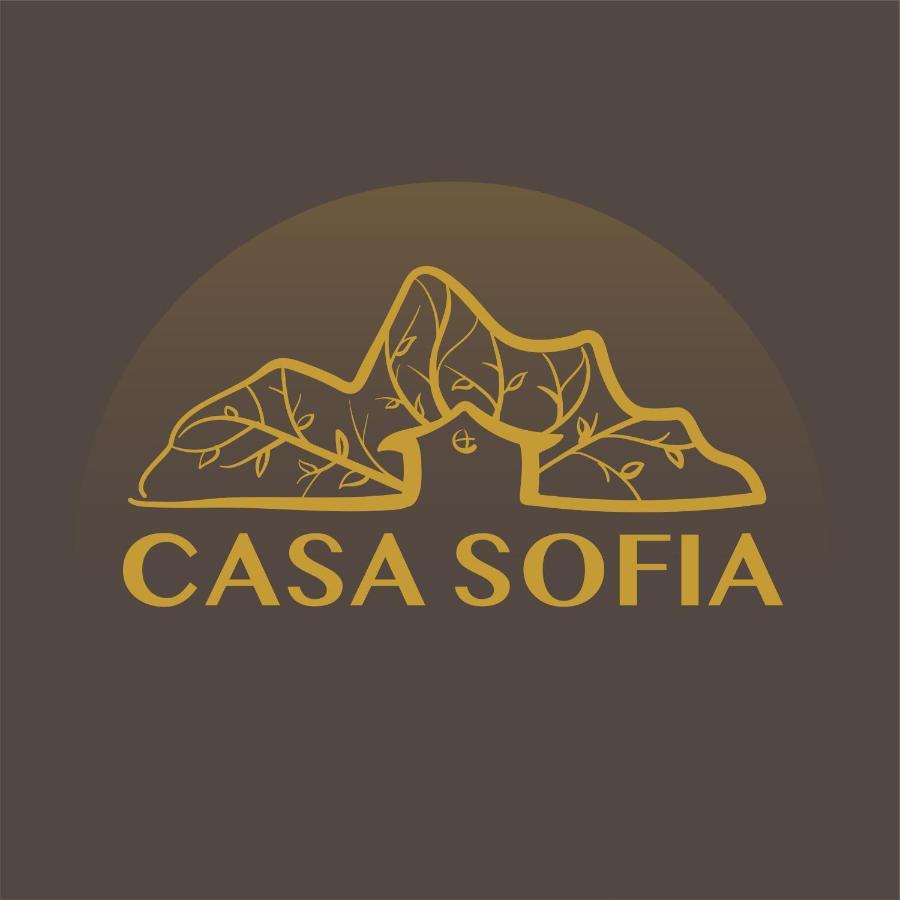 Haţeg Vila Sofia מראה חיצוני תמונה